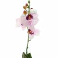 Floristik21 Künstliche Orchidee Phaleanopsis Weiß, Lila 43cm