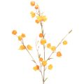Floristik21 Lampionblume künstlich Physalis-Zweig 95cm Orange Innenbereich