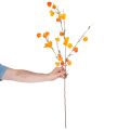 Lampionblume künstlich Physalis-Zweig 95cm Orange Innenbereich | Floristik21.de