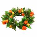 Physalis Kranz künstlich Orange, Grün Ø28cm Herbstdeko | Floristik21.de