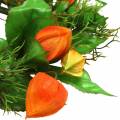 Physalis Kranz künstlich Orange, Grün Ø28cm Herbstdeko | Floristik21.de