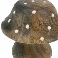 Floristik21 Deko Pilz Holz Natur 5cm 6St