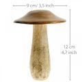 Floristik21 Pilz Mangoholz Braun, Natur Tischdeko Herbst Ø9cm H12cm 2St