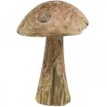 Floristik21 Pilz, Paulownia Holz, Herbst, Holzdeko Ø18–20cm H28cm