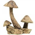 Floristik21 Pilzgruppe, Paulownia Holz, Herbstdeko, Holz-Skulptur H33cm L30cm