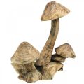 Floristik21 Pilzgruppe, Paulownia Holz, Herbstdeko, Holz-Skulptur H33cm L30cm