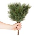 Künstlicher Kiefernzweig Bund 39cm Grün Kunststoff Innenbereich 6 Stück | Floristik21.de