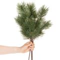 Kiefernzweig künstlich Dekozweig 55cm grün 3er-Set | Floristik21.de