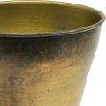 Antik-Stil Metall Übertopf Pokalvase Messing-Optik, Vielseitig & Robust Ø14cm H17cm | Floristik21.de