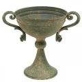 Floristik21 Pokal mit Henkeln, Metallkelch, Amphore zum Bepflanzen Ø14cm H18cm