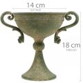 Floristik21 Pokal mit Henkeln, Metallkelch, Amphore zum Bepflanzen Ø14cm H18cm
