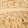 Naturbast Bündel Raffiabast 1kg Natur für Floristik und Geschenkverpackung | Floristik21.de