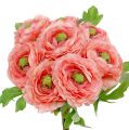 Floristik21 Ranunkel Rosa-Pink 27cm 8St