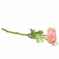 Floristik21 Ranunkel Blüte und Knospe künstlich Rosa 34cm