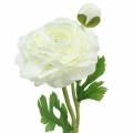 Floristik21 Kunstblume Ranunkel mit Blüte und Knospe Weiß H34cm