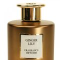 Floristik21 Raumduft Diffusor Duftstäbchen Ginger Lily 150ml