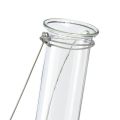 Floristik21 Reagenzglas Deko Glas zum Hängen Minivase Ø2,4cm H22,5cm