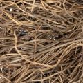 Rebenkranz 25 cm aus Naturmaterial für Bastel- und Dekorationsprojekte | Floristik21.de