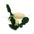 Floristik21 Rettich Weiß mit Blättern 12cm 3St
