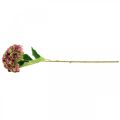 Floristik21 Hortensie künstlich Rosa, Bordeaux Kunstblume groß 80cm