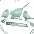 Vogeldeko zum Hängen, Willkommensschild, Metalldeko für den Frühling, Türschmuck Grün, Weiß Ø27cm 2er-Set