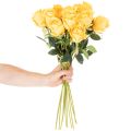 Künstliche Rose Gelb 62 cm mit langem Stiel, 12er-Set | Floristik21.de