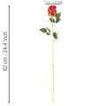 Künstliche Rose Rot 62cm 12er-Set mit langem Stiel | Floristik21.de