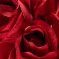 Künstliche Rose Rot 62cm