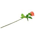 Floristik21 Rose Kunstblume Lachs 67,5cm