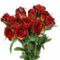 Floristik21 Rose Rot 42cm 12St