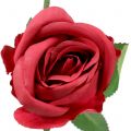 Floristik21 Rose Rot 44cm 6St