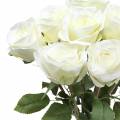 Floristik21 Deko-Rose Seidenblumen im Bund Creme 36cm 8St