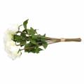 Floristik21 Deko-Rose Seidenblumen im Bund Creme 36cm 8St