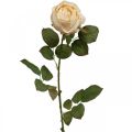 Floristik21 Rose Cremefarben, Seidenblume, künstliche Rose L74cm Ø7cm