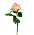 Floristik21 Rose künstlich Creme-Rosa Ø9cm L45cm 1St