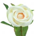Floristik21 Rose künstlich Crème 44cm 6St
