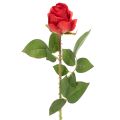 Floristik21 Rosenzweig Seidenblume Künstliche Rose Rot 72cm 3St