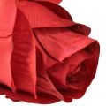 Floristik21 Rosenzweig Seidenblume Künstliche Rose Rot 72cm
