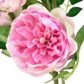 Floristik21 Rosenzweig Seidenrosen Kunstzweig Rosen Pink Cremefarben 79cm