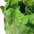 Floristik21 Salatkopf Grün Deko Salat Lebensmittelattrappen 14cm