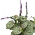 Floristik21 Künstliche Seidenblumen, Salbei im Bund, Salbei Seidenblume Violett L28cm 4St
