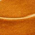 Samtband Polyamid 20mm 10m Orangebraun Innenbereich | Floristik21.de