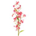Floristik21 Künstlicher Blütenzweig Oncidium Orchidee 112 cm Pink Grün 3er Set