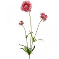 Floristik21 Künstliche Blumendeko, Skabiose Kunstblume Rosa 64cm Bund à 3St
