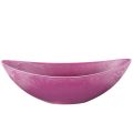 Schale Plastik Pink 39cm x 13cm H13cm | Floristik21.de