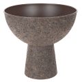 Floristik21 Pflanzschale auf Fuß rund Metall 25 cm Braun Innenbereich