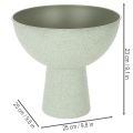 Metallschale mit Standfuß 25cm graugrün für Innenbereiche | Floristik21.de