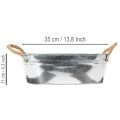 Schale oval 35cm x 21,5cm H11,5cm Zink glänzend | Floristik21.de