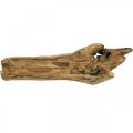 Floristik21 Dekoschale Paulownia Holz, Blumentablett, Holzgefäß L58cm H7–8cm