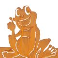 Schild mit Spruch Frosch